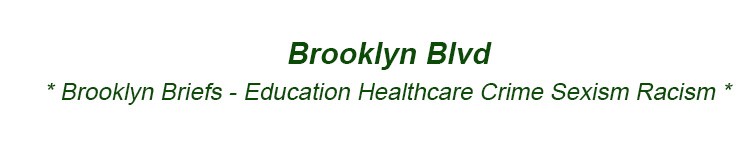 Brooklyn Schools Education Healthcare Crime Sexism Racism in BK NYC