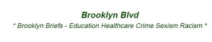 Brooklyn Schools Education Healthcare Crime Sexism Racism in BK NYC