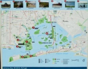 Brooklyn Parks Sports Climate Change, Climate Change Park & Sports Events BK NYC