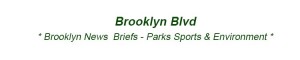 Brooklyn News Briefs Parks Sports Environment & Climate Change BK NYC