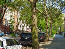 nyc neighborhoods nyc
