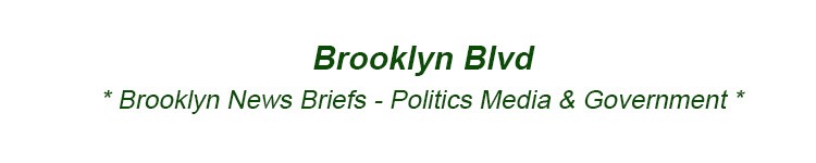 brooklyn politics media government bk nyc