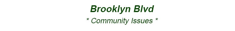 brooklyn community issues brooklyn crime brooklyn schools brooklyn healthcare bk nyc