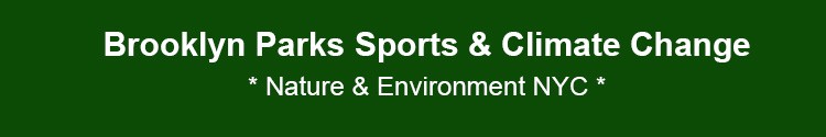 brooklyn parks sports climate change news & events bk nyc