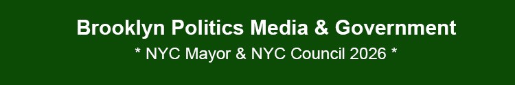 brooklyn politics government nyc mayor nyc council borough presidents bk nyc