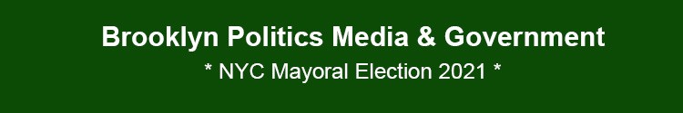 brooklyn politics government nyc mayor nyc council borough presidents bk nyc