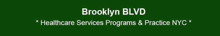 brooklyn community social issues healthcare bk nyc