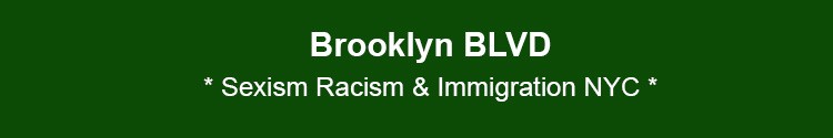 brooklyn social community issues sexism racism immigration bk nyc