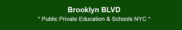 brooklyn community social issues private public education schools bk nyc
