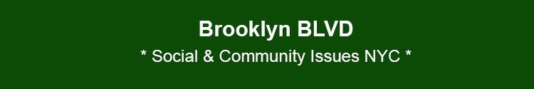 brooklyn community social issues bk nyc